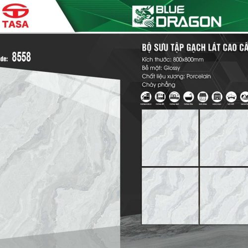 Gạch TaSa Việt Nam 80×80 cm TD