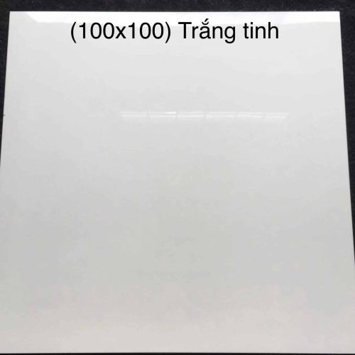 Gạch Trung Quốc Nhập Khẩu 100x100 (cm) TDTQ