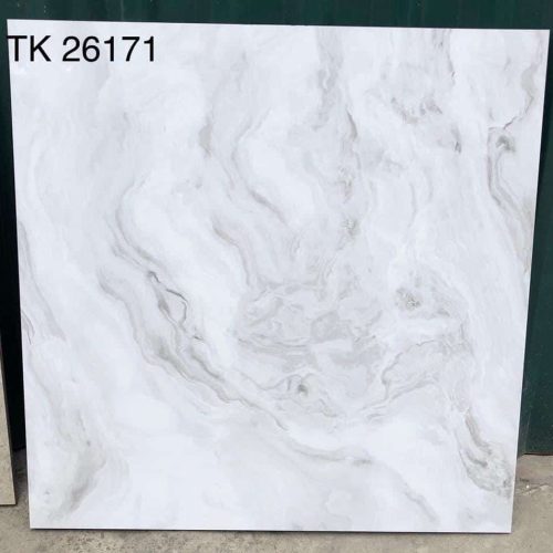 Gạch Takao Việt Nam 60x60 cm TD-01