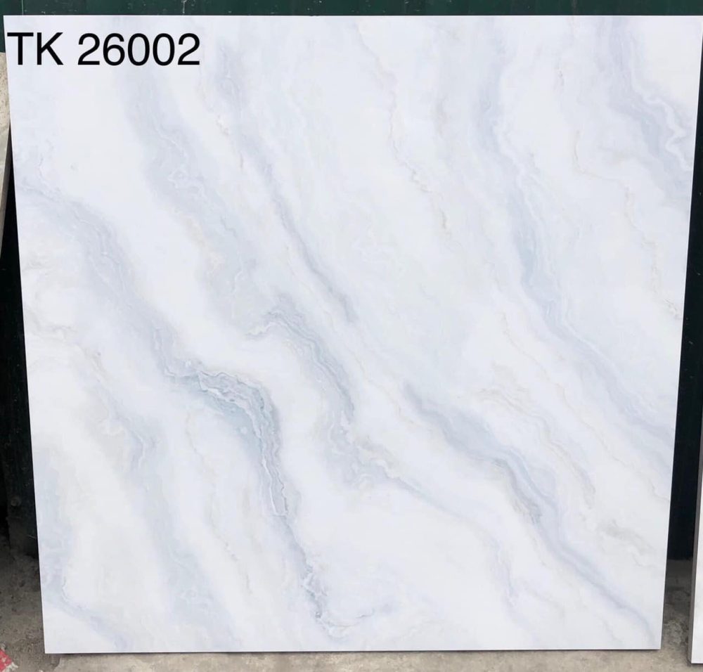 Gạch Takao Việt Nam 60x60 cm TD