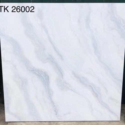 Gạch Takao Việt Nam 60x60 cm TD