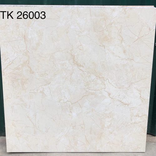 Gạch Takao Việt Nam 60x60 cm TD