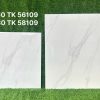 Gạch Viglacera 80x80 cm TD-01