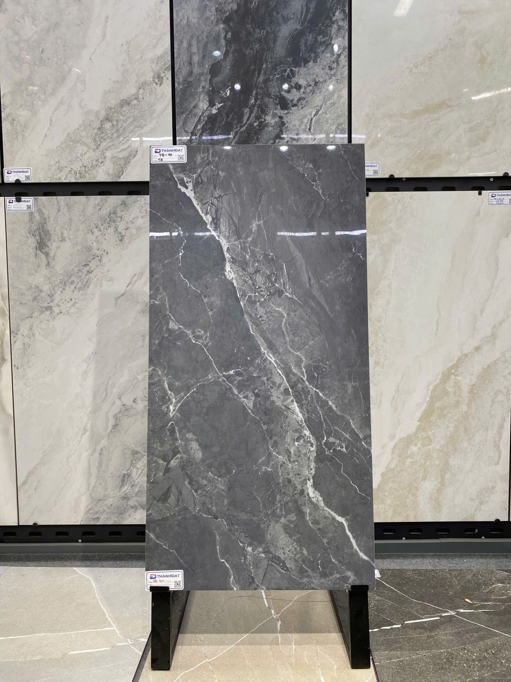 Gạch Ấn Độ Nhập Khẩu 60×120 (cm) TDVH-08