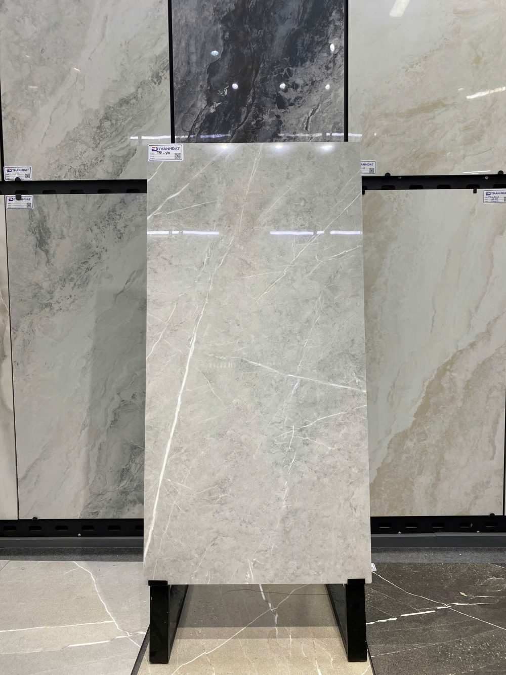 Gạch Ấn Độ Nhập Khẩu 60×120 (cm) TDVH-10
