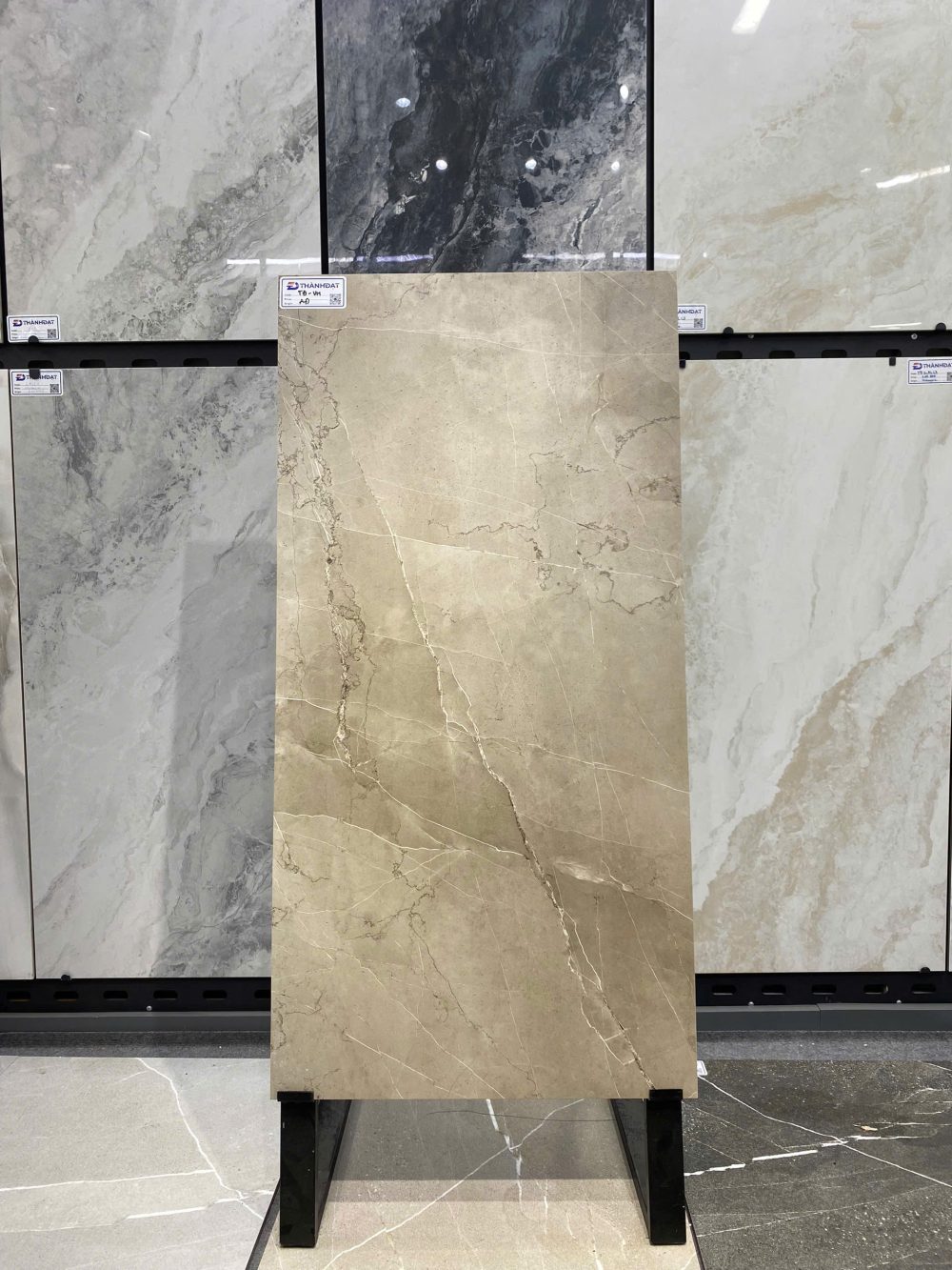 Gạch Ấn Độ Nhập Khẩu 60×120 (cm) TDVH-11