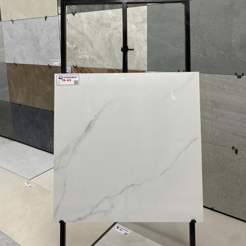 Gạch Ốp Lát 60×60 cm TD-QD 08