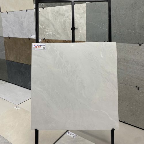 Gạch Ốp Lát 60×60 cm TD-QD 13