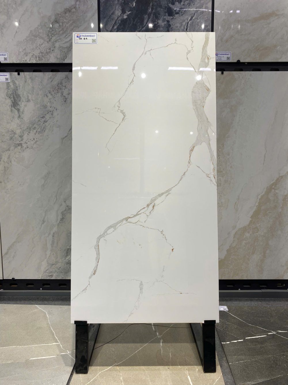 Gạch Ốp Lát 60x120 (cm) TDGR-06