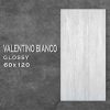 Gạch Ấn Độ Nhập Khẩu 60×120 (cm) TDAP-03